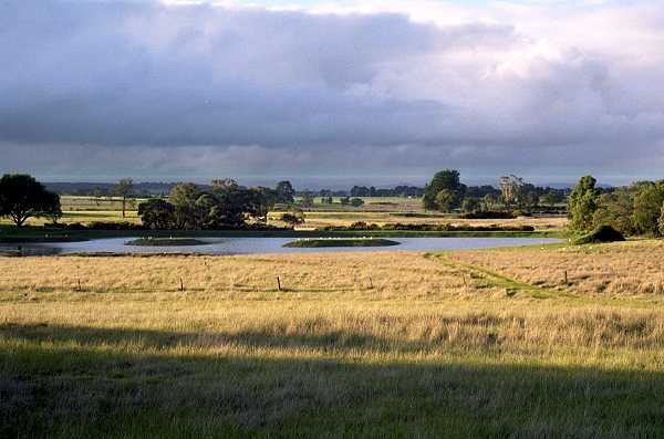 A view across the wetland to the north.