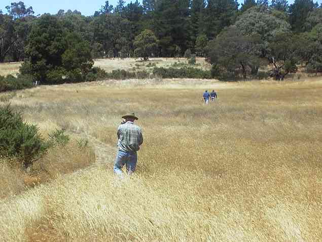 View East along bank site.