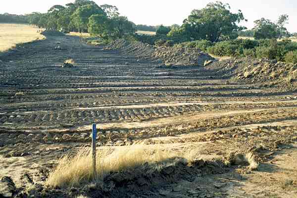 Base of bank cleared.