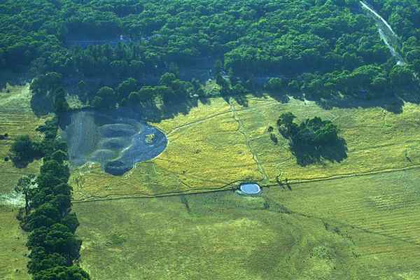 Aerial view of block.