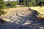 Base of bank cleared of topsoil