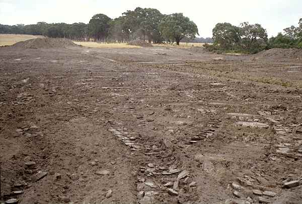 Topsoil cleared from the wetland area.