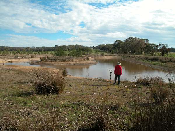 Di by Eastern end of wetland, May 2007