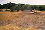 Topsoil going onto island