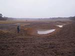 water in the wetland