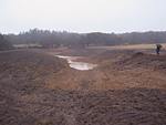 water in the wetland 