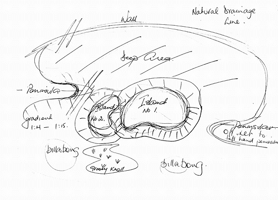 Di's sketch of wetland.