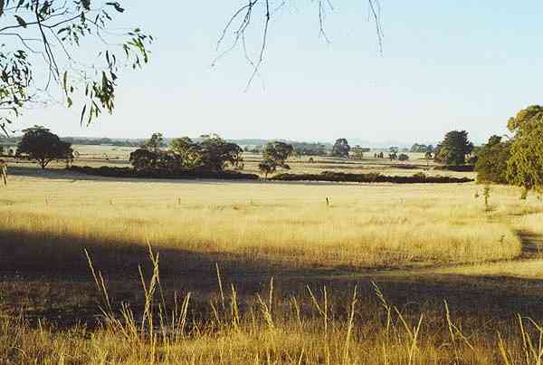 A large image of the wetland site.