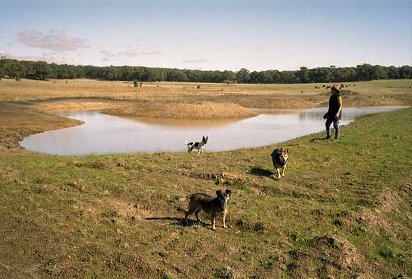 A view across the wetland to the west.