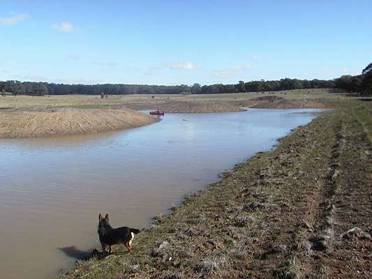 A view across the wetland to the west.